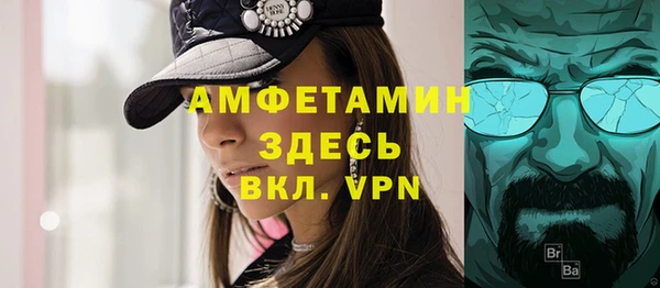 шишки Белоозёрский