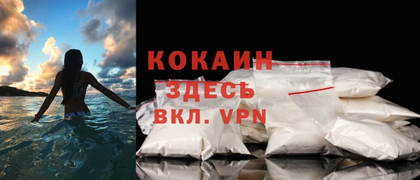 шишки Белоозёрский