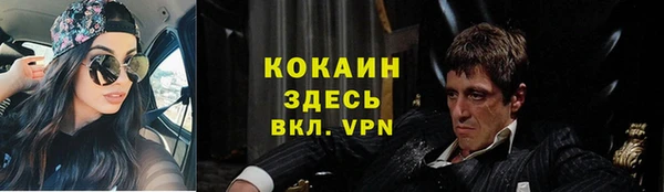 шишки Белоозёрский
