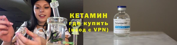 шишки Белоозёрский