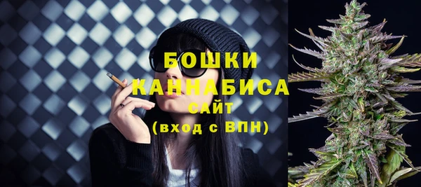 шишки Белоозёрский