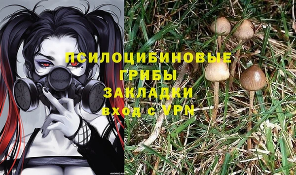 шишки Белоозёрский