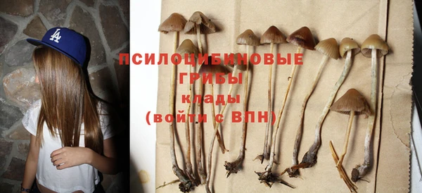 метамфетамин Белокуриха
