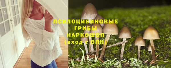 шишки Белоозёрский