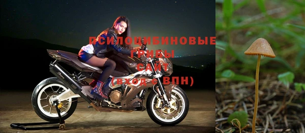 шишки Белоозёрский