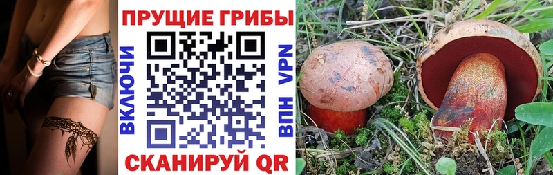 Галлюциногенные грибы MAGIC MUSHROOMS Суоярви