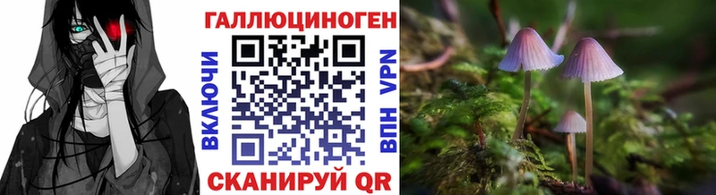 Купить  Суоярви  Галлюциногенные грибы Magic Shrooms 